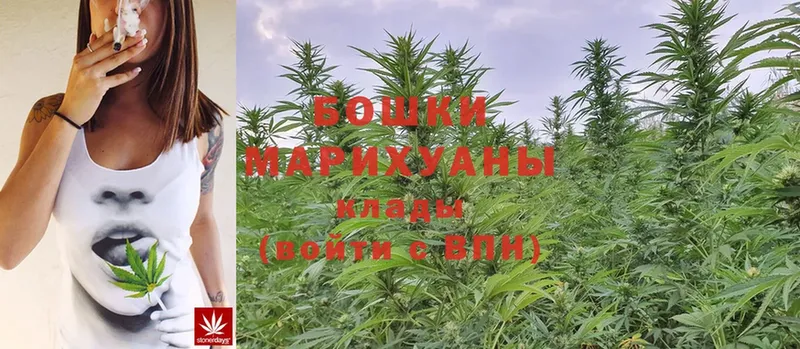 магазин  наркотиков  Можга  Конопля LSD WEED 